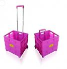 Sun Leisure Pack and Go Folding Trolley
